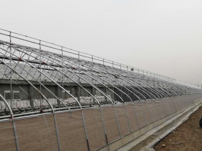 幾字鋼日光溫室