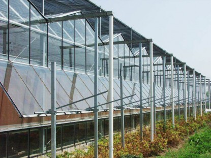 連棟玻璃溫室