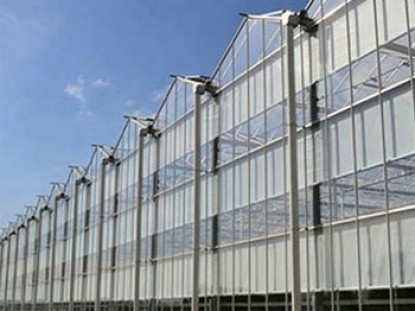 單體陽光板溫室