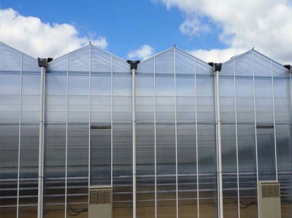 單體陽光板溫室