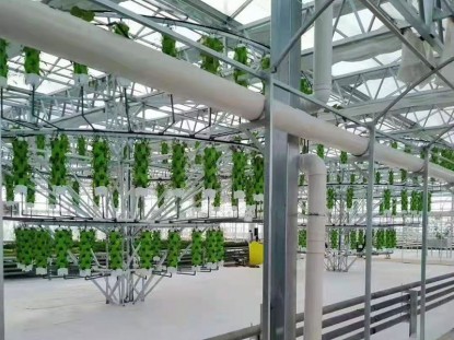 紋絡溫室生態餐廳