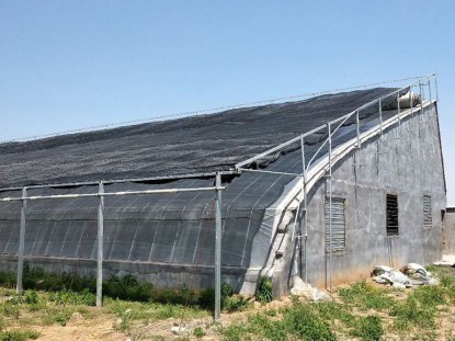 幾字鋼日光溫室