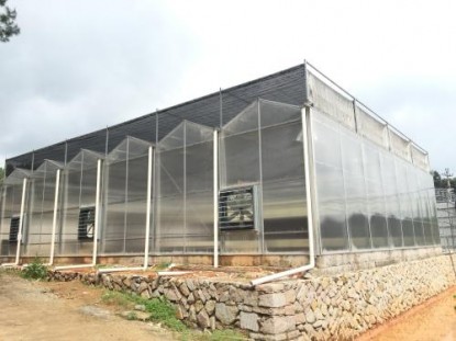 單體陽光板溫室