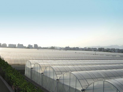 智能連棟薄膜溫室