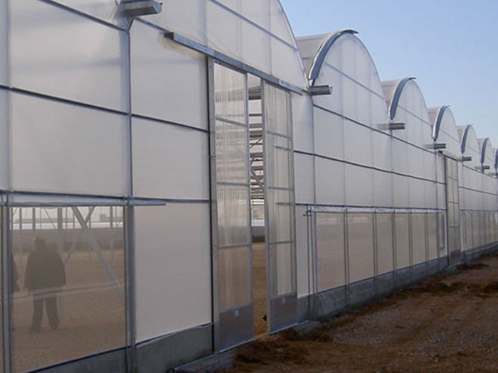 紋絡陽光板溫室