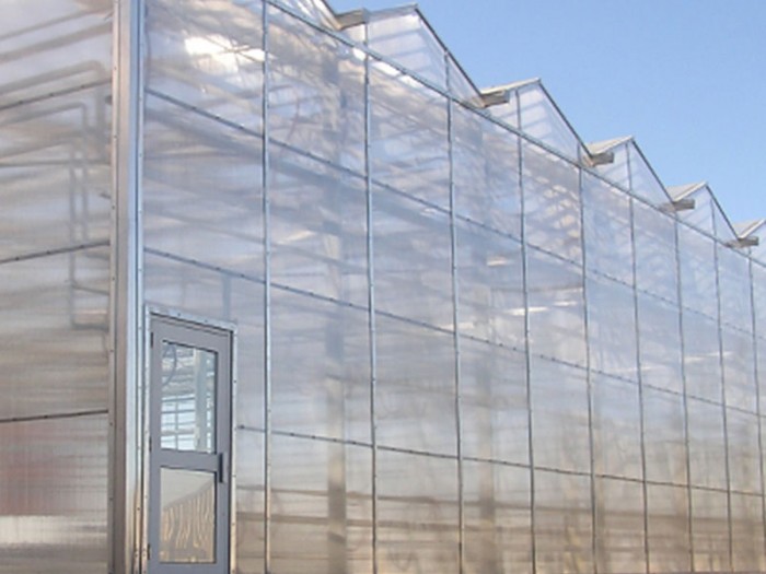 單體陽光板溫室