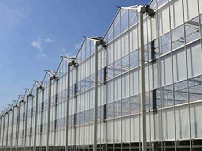連體陽光板溫室